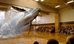 Augmented reality company Magic Leap - promotional image shows a whale leaping out of the floor of a gymnasium