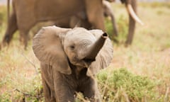 The Samburu National Reserve is a game reserve on the banks of the Ewaso Ng'iro river in Kenya.