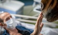 Peyo the horse licks the hands of Roger, a patient at the palliative care centre at Calais Hospital.