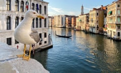 A seagull perches above the Grand Canal in Venice