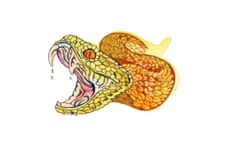Illustration of a yellow and brown snake, with venom dripping from its jaws, on a white background