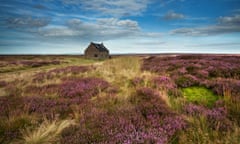 The North York Moors above Fryupdale.