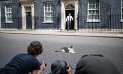 Theresa May Takes PMQs<br>LONDON, ENGLAND - JULY 10: Larry, the resident 10 Downing Street cat is seen sunning himself in Downing Street on July 10, 2019 in London, England. (Photo by Luke Dray/Getty Images)