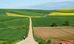 Walking the ‘Camino de Santiago’ in Spain<br>07/25/2018, Spain. The Camino de Santiago (the Way of St. James) is a large network of ancient pilgrim routes stretching across Europe and coming together at the tomb of St. James (Santiago in Spanish) in Santiago de Compostela in north-west Spain. Yearly, hundreds of thousands of people of various backgrounds walk the Camino de Santiago either on their own or in organized groups. The most popular route (which gets very crowded in mid-summer) is the Camino Francés which stretches 780 km (nearly 500 miles) from St. Jean-Pied-du-Port in France to Santiago. The scallop shell is the most iconic symbol associated with the Camino de Santiago. Its seen everywhere, from churches and distance markers to pavements and backpacks. (Photo by Romy Arroyo Fernandez/NurPhoto via Getty Images)