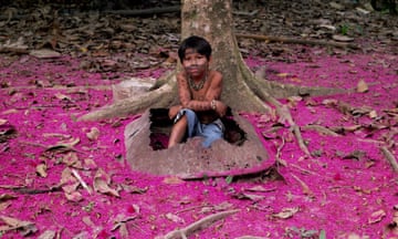 Hanka, a young Amahuaca boy adopted by Margarita, sits in a rusted wheelbarrow in the middle of a sea of magenta stamens from a rose apple tree.