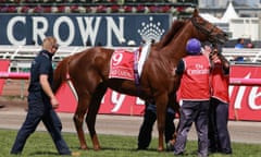 Melbourne Cup Day<br>MELBOURNE, AUSTRALIA - NOVEMBER 03: Red Cadeaux, riden by Gerald Mosse, is attended to by track staff after breaking down during race seven, the Melbourne Cup on Melbourne Cup Day at Flemington Racecourse on November 3, 2015 in Melbourne, Australia. (Photo by Wayne Taylor/Getty Images for the VRC)