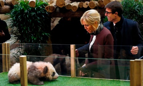 Panda cub growls and jumps at France’s first lady, Brigitte Macron – video 