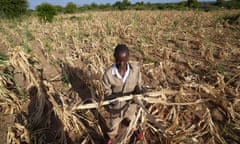 Farmer with crops