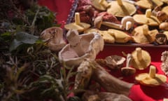 A selection of different mushrooms on a tray