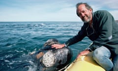 Roger Payne in Peninsula Valdes, Argentina; he led 100 oceanic expeditions over a long career as a whale scientist.