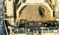 A Sea Shepherd photo appears to show a dead minke whale on board the Japanese vessel Nisshin Maru in Australia’s Antarctic whale sanctuary on Sunday.