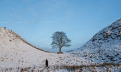 Snowy weather, North Pennines, Britain - 17 Jan 2016<br>Mandatory Credit: Photo by James Gourley/REX/Shutterstock (5541789a) Snow near Sycamore Gap on Hadrian's Wall, North Pennines, Britain Snowy weather, North Pennines, Britain - 17 Jan 2016