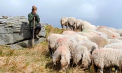 Our Yorkshire Farm has been a hit for Channel 5.