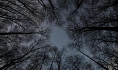 TOPSHOT - Stars twinkle in the night sky over the treetops of a forest in Frankfurt (oder), western Germany, on March 16, 2017.

 / AFP PHOTO / dpa / Patrick Pleul / Germany OUTPATRICK PLEUL/AFP/Getty Images