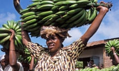 A woman carries cooking bananas in Tanzania.