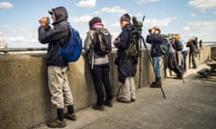 Whale spotters in Gravesend hoping to catch a sight of the beluga whale.