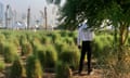 A member of security staff at the Al Bidda Park in Doha, Qatar.