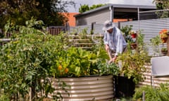 Older man in hat working in backyard garden