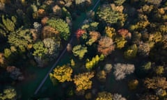 The last days of autumn at Westonbirt Arboretum