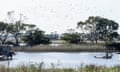 A Victorian parliamentary committee investigating recreational native bird hunting visited Lake Connewarre State Game Reserve in Melbourne in April