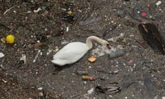 Pollution in the River Thames, London, May 2018