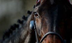 Sprinter Sacre