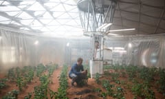 Matt Damon cultivating potatoes in Ridley Scott’s The Martian.