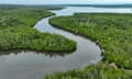 A mangrove forest under threat in Sepaku District, East Borneo.