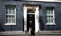 Larry the cat sits outside Downing Street in London, Britain May 7, 2019. REUTERS/Henry Nicholls