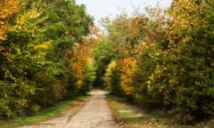 Concrete track in Coppice Wood