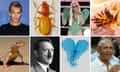 A composite of eight photos: a young blonde woman; a beetle; a singer in a winged green costume; a spiky orange sea slug; the former US president Barack Obama; a heart-shaped veined blue plant; Hitler; and a lizard on sand