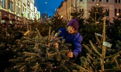 man shopping for trees in a market