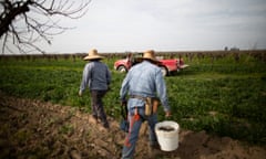 Nikiko Masumoto (left) with her father David Mas Masumoto (right) (he is holding tools he was using to graft tress in their orchard) on their family farm in Del Rey, where they organic grow peaches, nectarines, apricots and grapes, California, February 21st, 2020. With little precipitation since January, and the driest February in 150 years, the soil is drying out early. Masumoto is hurrying to plow the fields (weed mitigation) before the soil gets too dry for the plow.