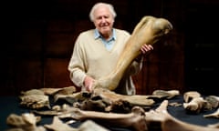 A smiling David Attenborough in a shirt and jumper holding a gigantic mammoth bone with other bones in the foreground