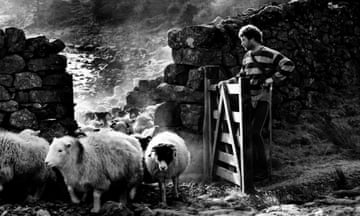 COPYRIGHT PHOTOGRAPH BY DENIS THORPE/THE GUARDIAN
CUMBRIAN SHEPHERD 1990