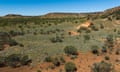 Vergemont station in central Queensland