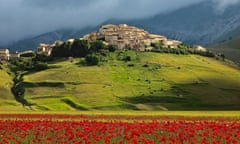 Umbria in bloom … in early summer, millions of flowers turn Castelluccio’s lentil fields red.