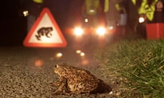 TOAD Patrol 1