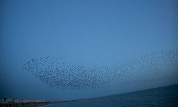 Rinko Kawauchi