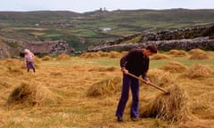 Raking in hay in County Cork