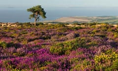 Quantock Hills