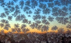 Frost on window