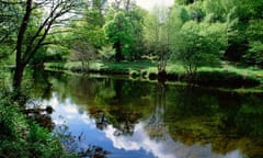 River Dart in Devon