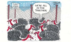 Kipper Williams - turkeys