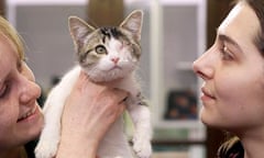 veterinary students holding blind cat