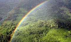 Malaysian rainforest rainbow