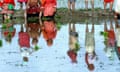 MDG Agriculture : Nepalese Women Farmers Resting During Paddy Rice Plantation