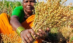 Dalit women fighting starvation in Andhra Pradesh , India, with Christian Aid and DDS