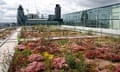 GSB Best Practice Awards: British Land Biodiversity