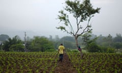 A farmer in El Salvador